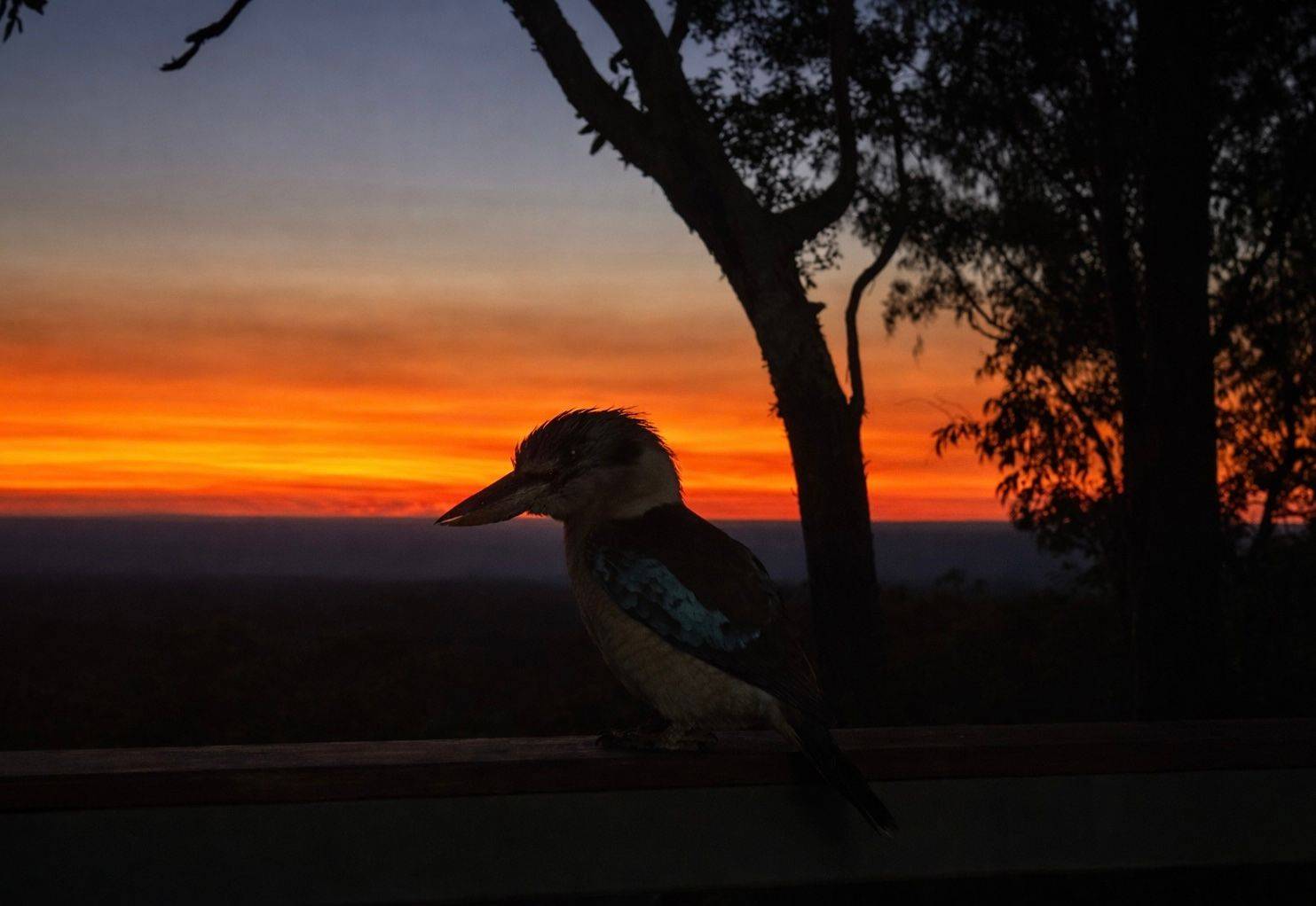 About Oz Eco Tours