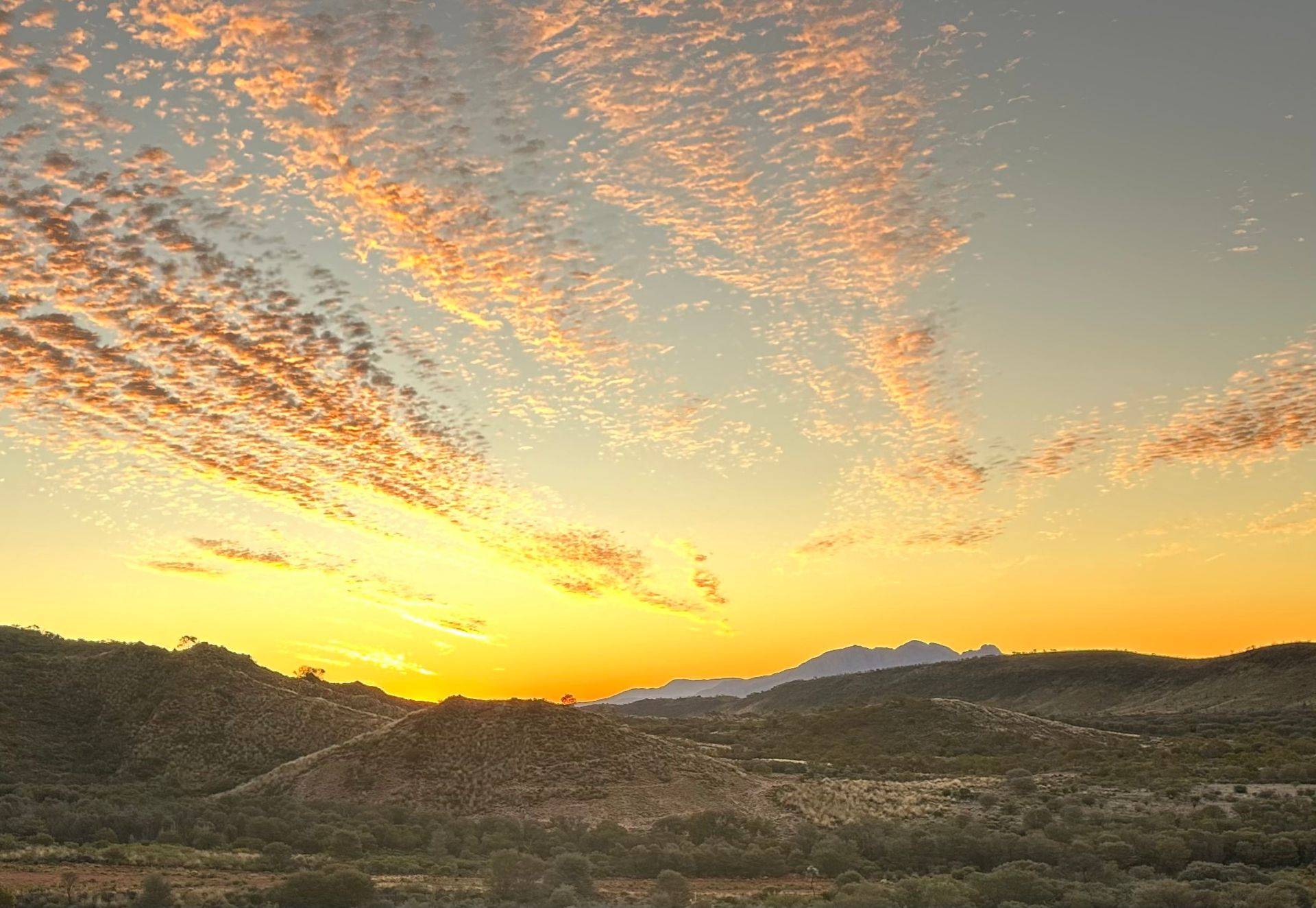 Larapinta Micro Hike Two Day Immersion
